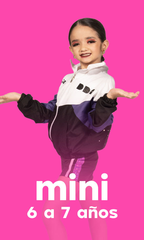 DDC Mini